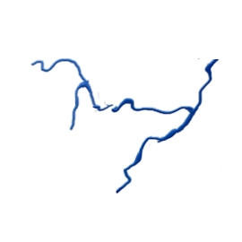 Ремонт автомобильных стёкол: сколов и трещин на автостекле в Минске - СКОЛ.BY