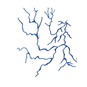 Ремонт автомобильных стёкол: сколов и трещин на автостекле в Минске - СКОЛ.BY